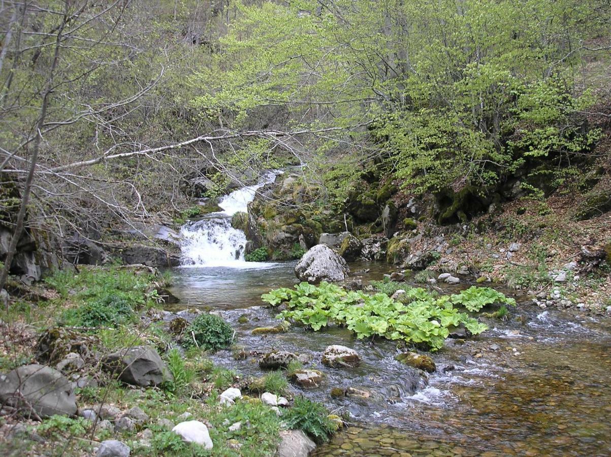 Vila Verusa Buitenkant foto