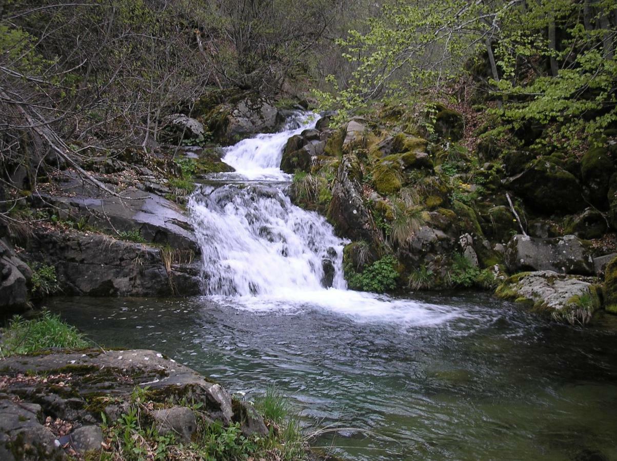 Vila Verusa Buitenkant foto